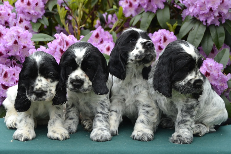 24-Habi, Hanny, Hart, Haidi.JPG